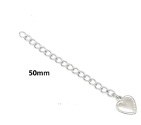 RVS verlengketting met bedeltje