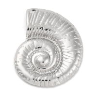 Grote rvs bedel 45mm (zilverkleur)