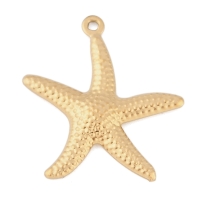 RVS zeester hanger 22mm (goud)
