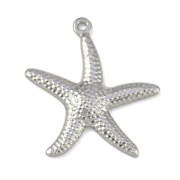 RVS zeester hanger 22mm (zilver)